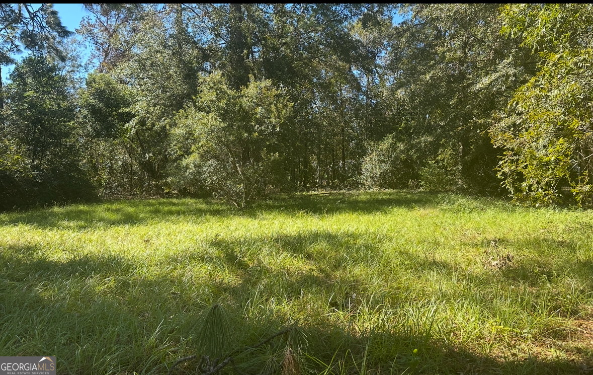 479 Brannen Street Jesup GA 31545