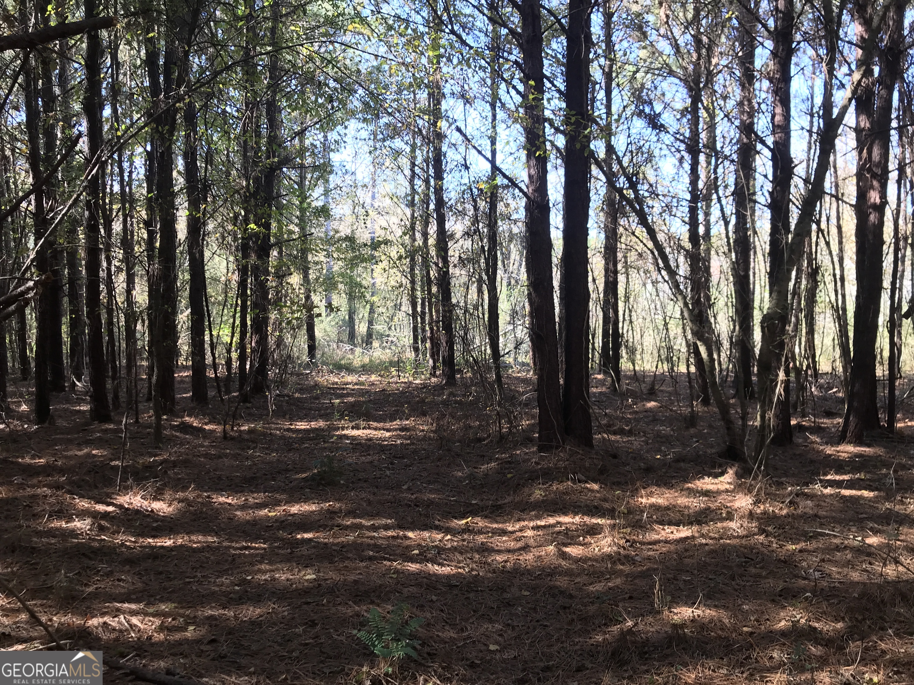 0 Hall Memorial Road Calhoun GA 30703