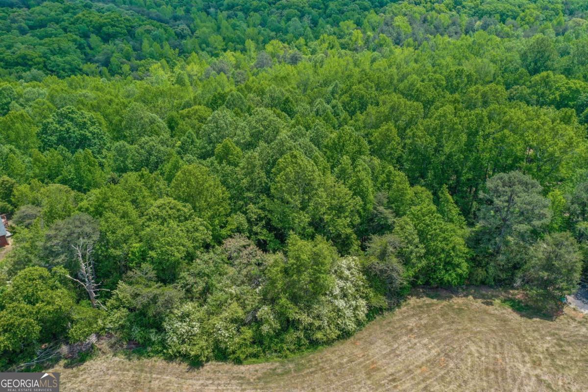 0 Anderson Lake Road Dawsonville GA 30534