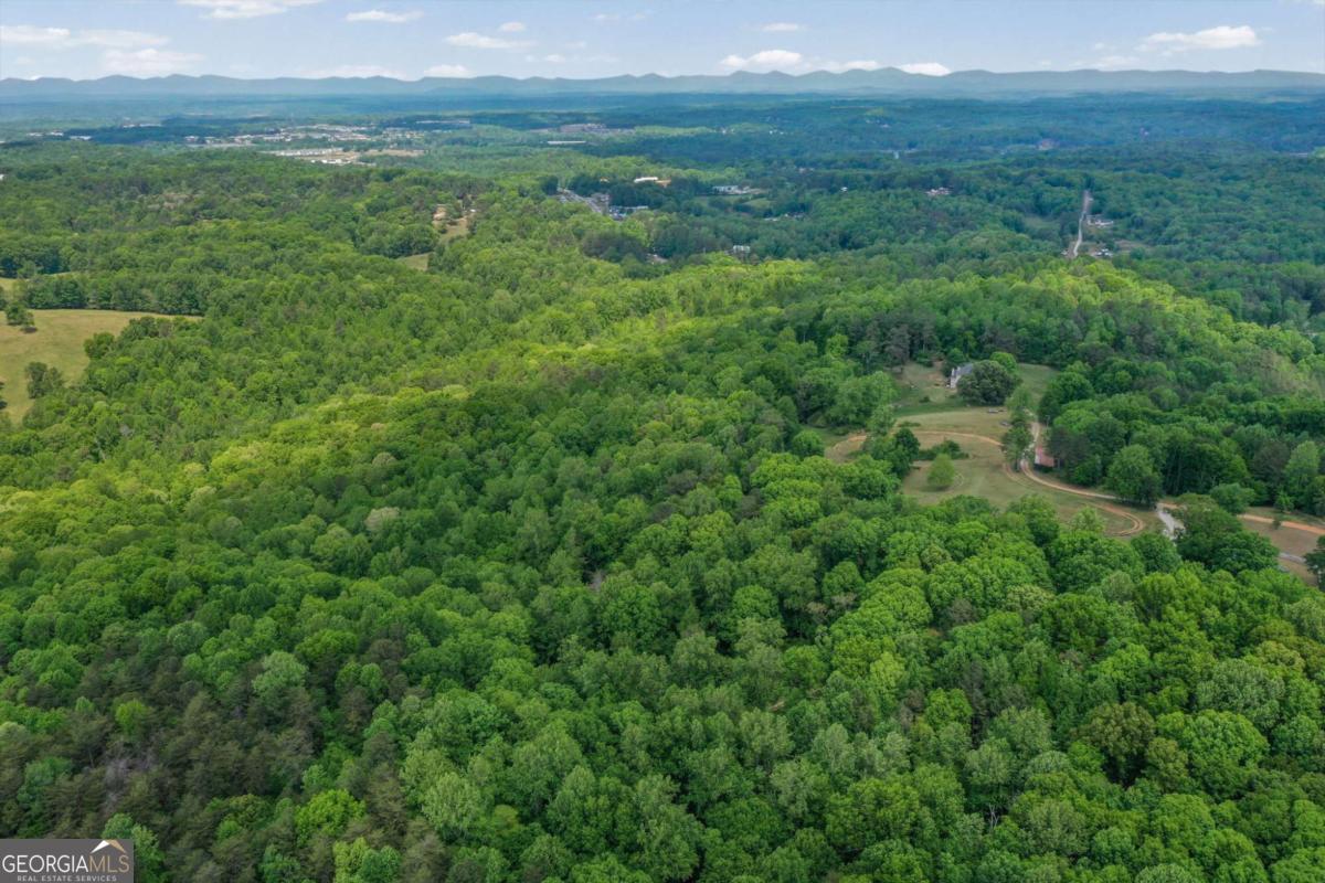 0 Anderson Lake Road Dawsonville GA 30534