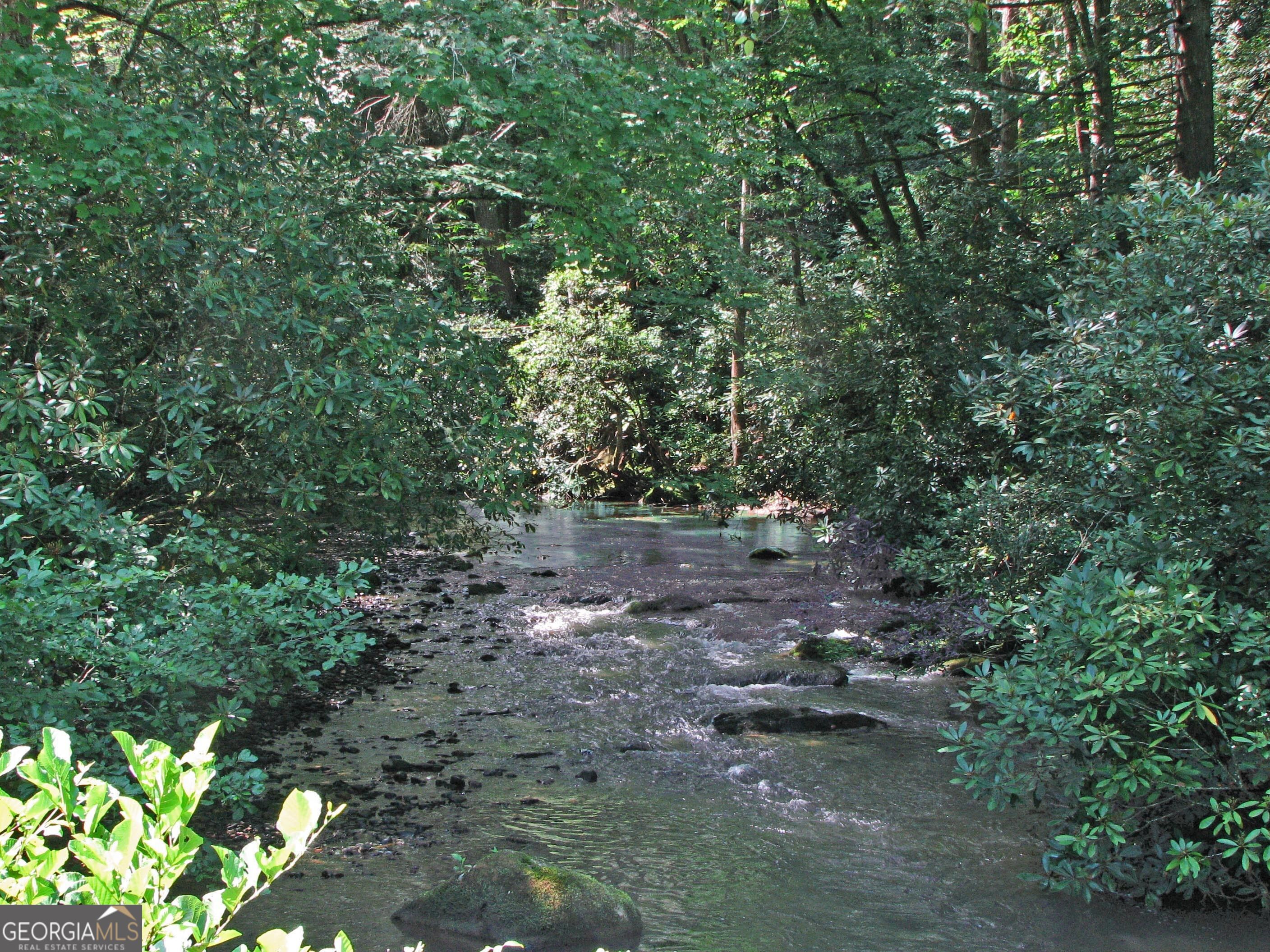 Lot 8 Snowbird Woods Road Robbinsville NC 28771