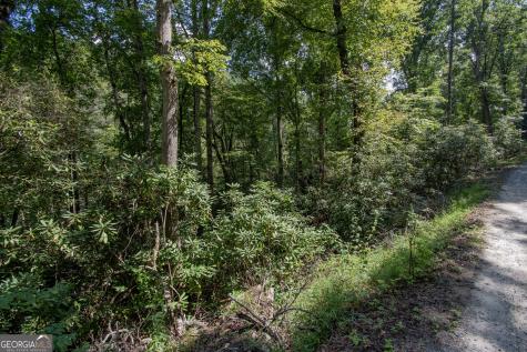 Lot 8 Snowbird Woods Road Robbinsville NC 28771