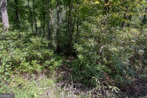 Lot 8 Snowbird Woods Road Robbinsville NC 28771