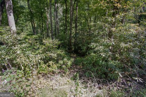 Lot 8 Snowbird Woods Road Robbinsville NC 28771