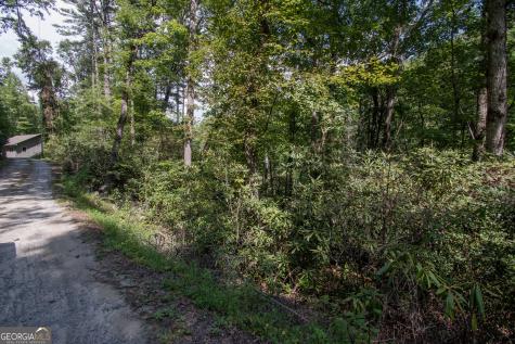 Lot 8 Snowbird Woods Road Robbinsville NC 28771