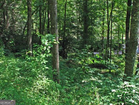 Lot 8 Snowbird Woods Road Robbinsville NC 28771