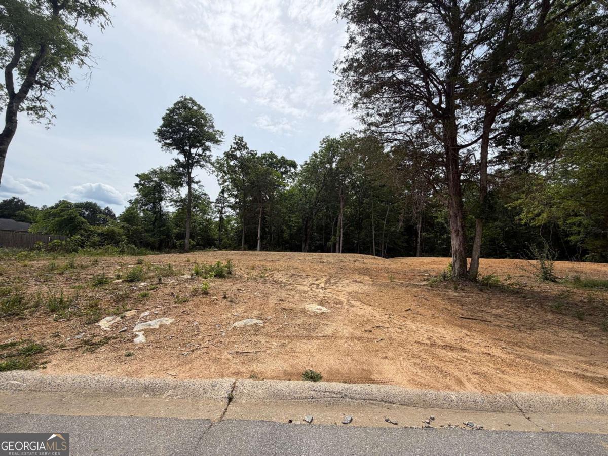 0 Ronnie Road Cedartown GA 30125