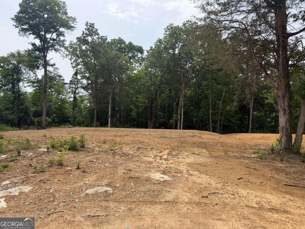 0 Ronnie Road Cedartown GA 30125