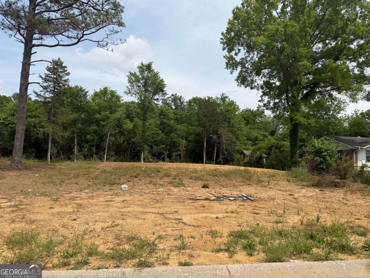0 Ronnie Road Cedartown GA 30125