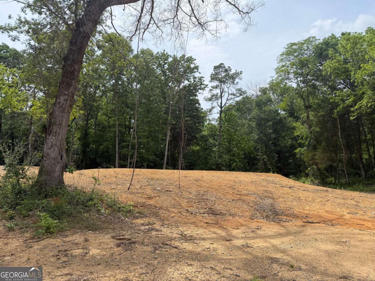 0 Ronnie Road Cedartown GA 30125