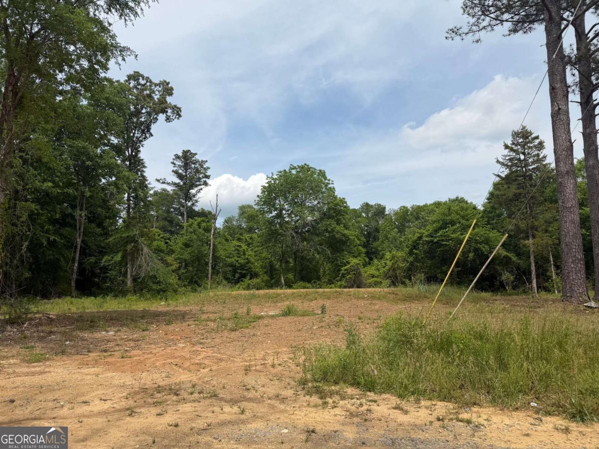 0 Ronnie Road Cedartown GA 30125