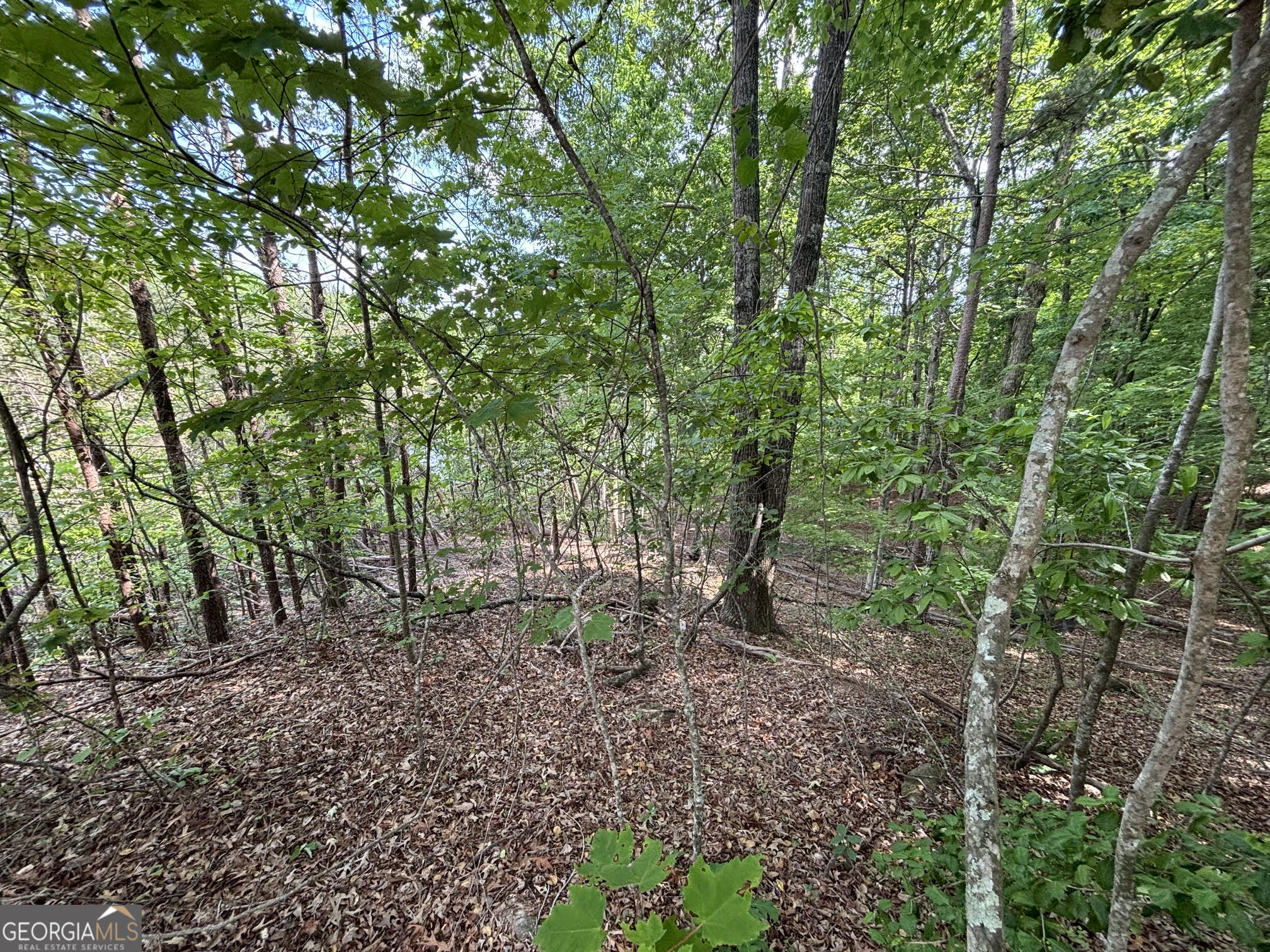 0 Cub Trail Sautee Nacoochee GA 30571