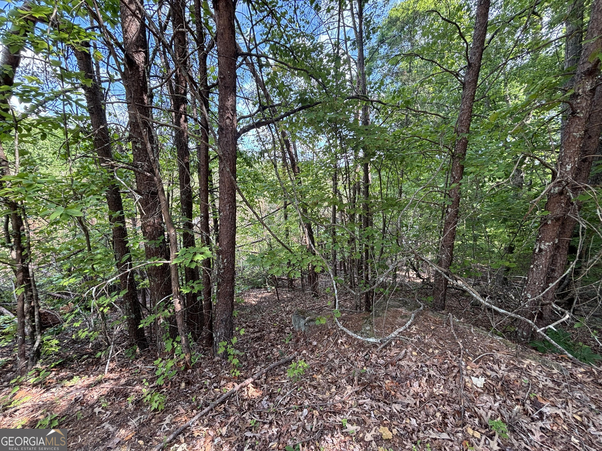 0 Cub Trail Sautee Nacoochee GA 30571