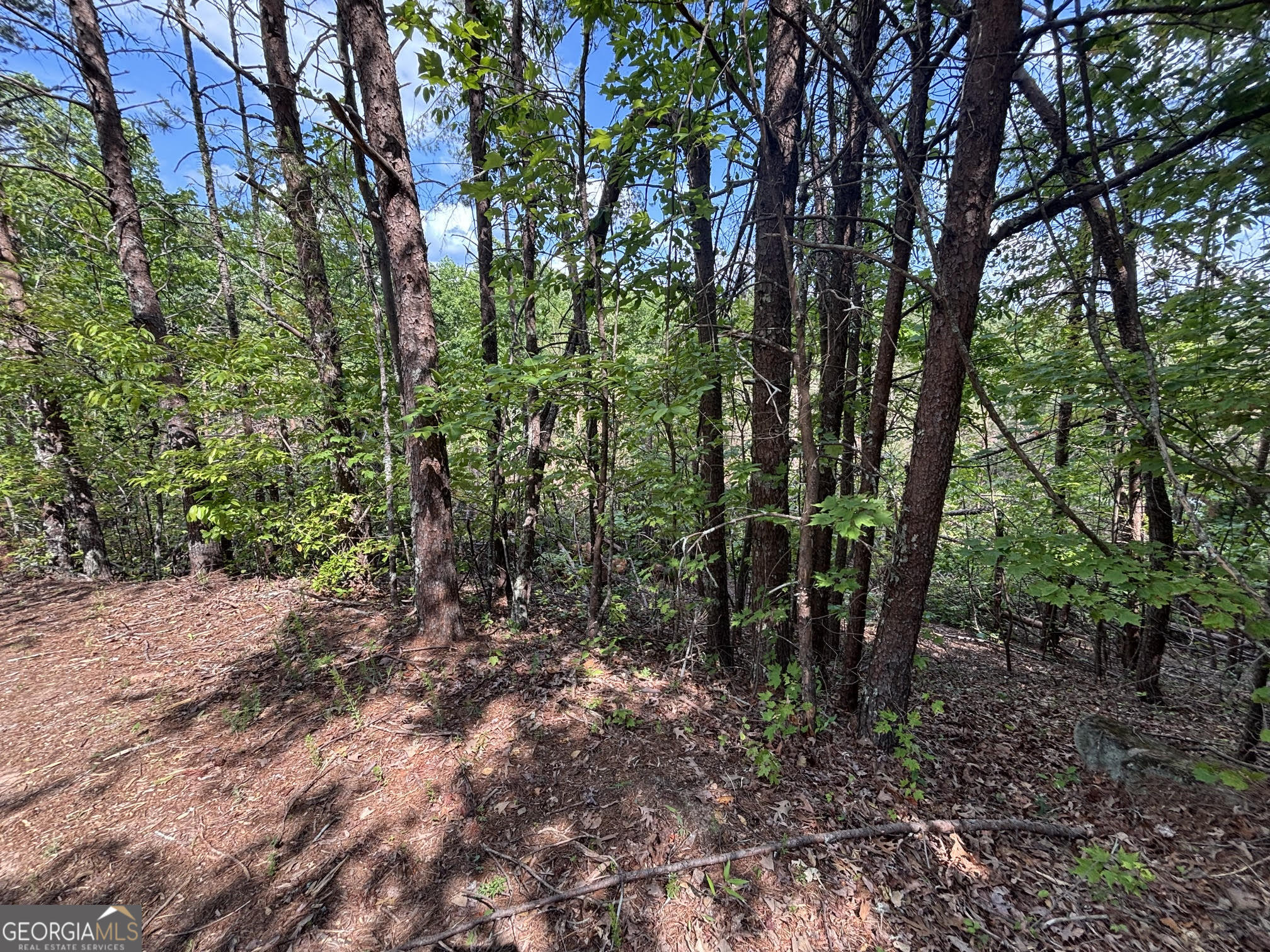 0 Cub Trail Sautee Nacoochee GA 30571