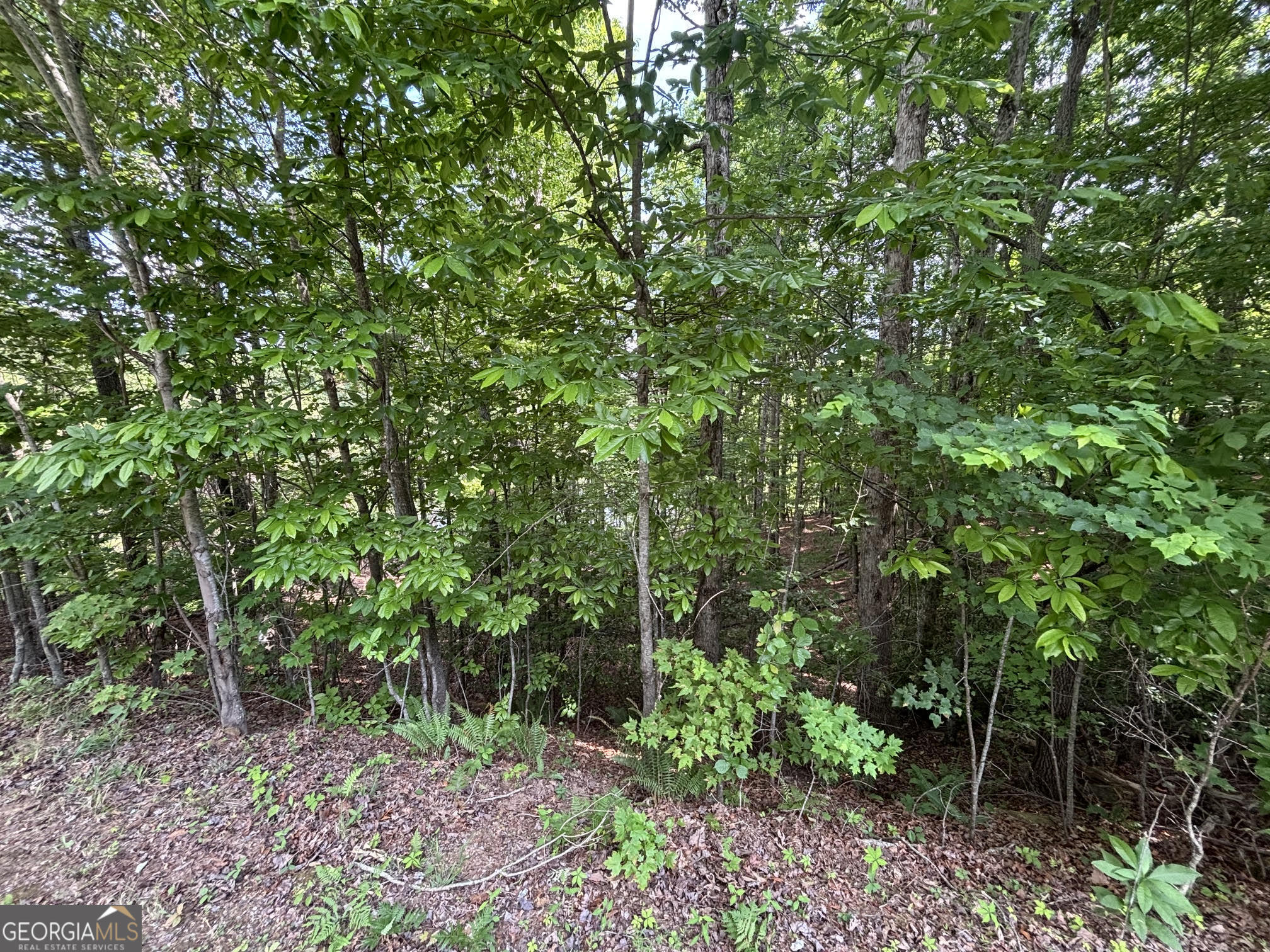 0 Cub Trail Sautee Nacoochee GA 30571