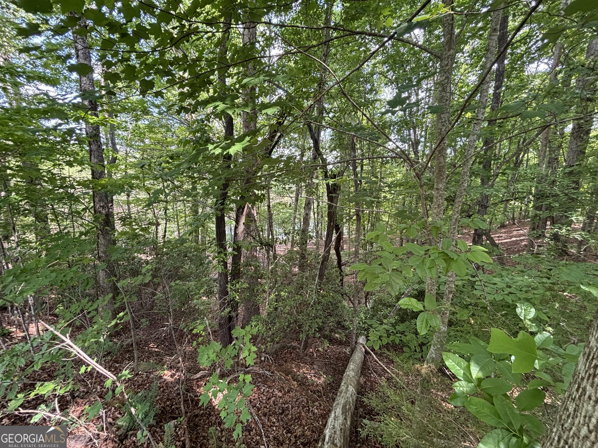 0 Cub Trail Sautee Nacoochee GA 30571