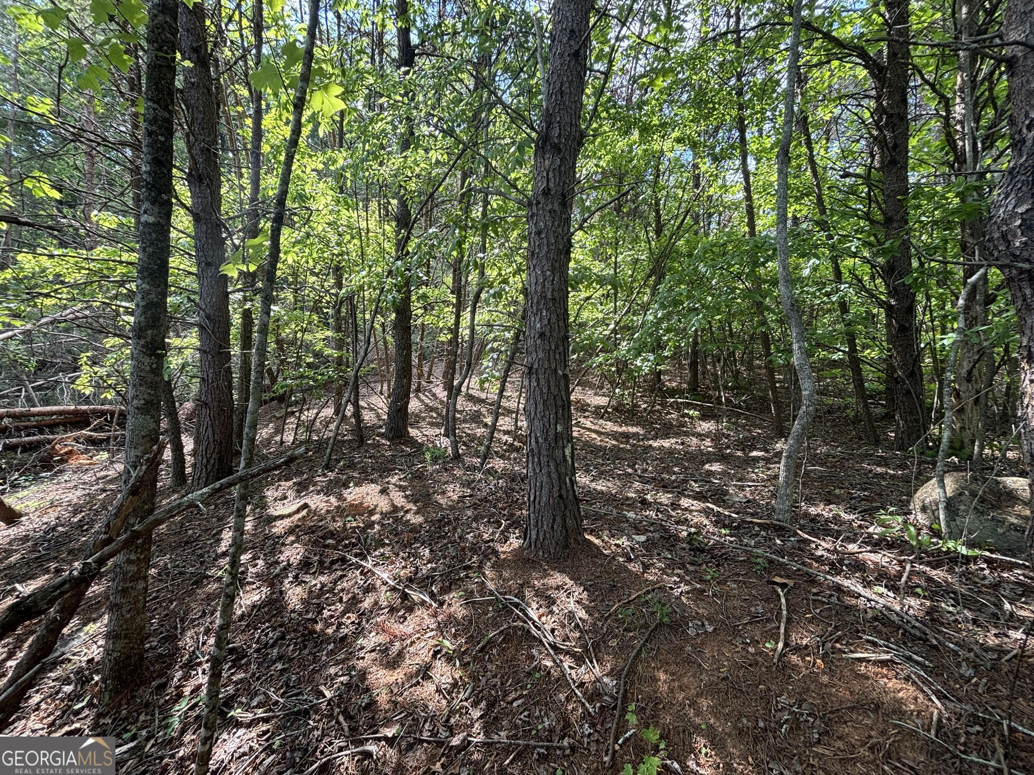 0 Cub Trail Sautee Nacoochee GA 30571