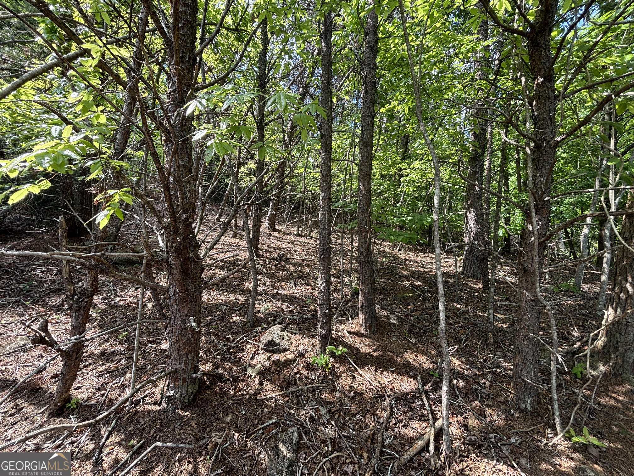 0 Cub Trail Sautee Nacoochee GA 30571