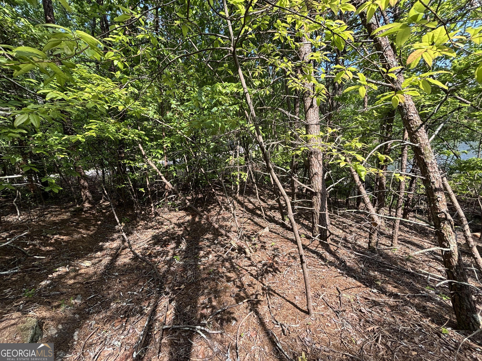 0 Cub Trail Sautee Nacoochee GA 30571