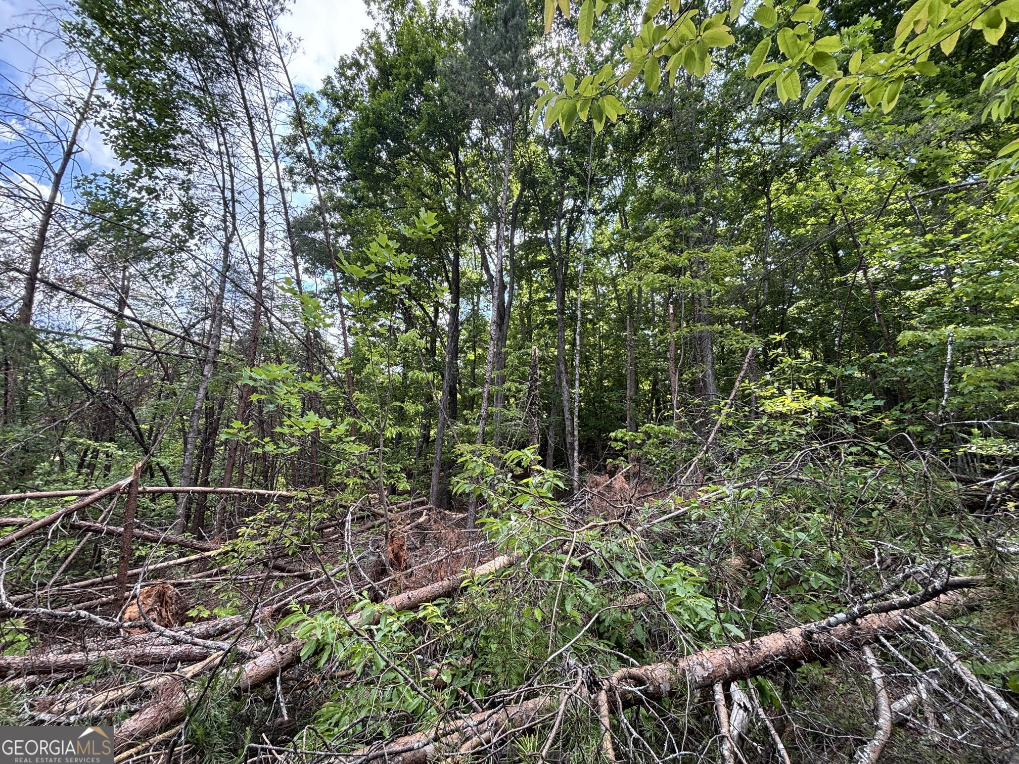 0 Cub Trail Sautee Nacoochee GA 30571