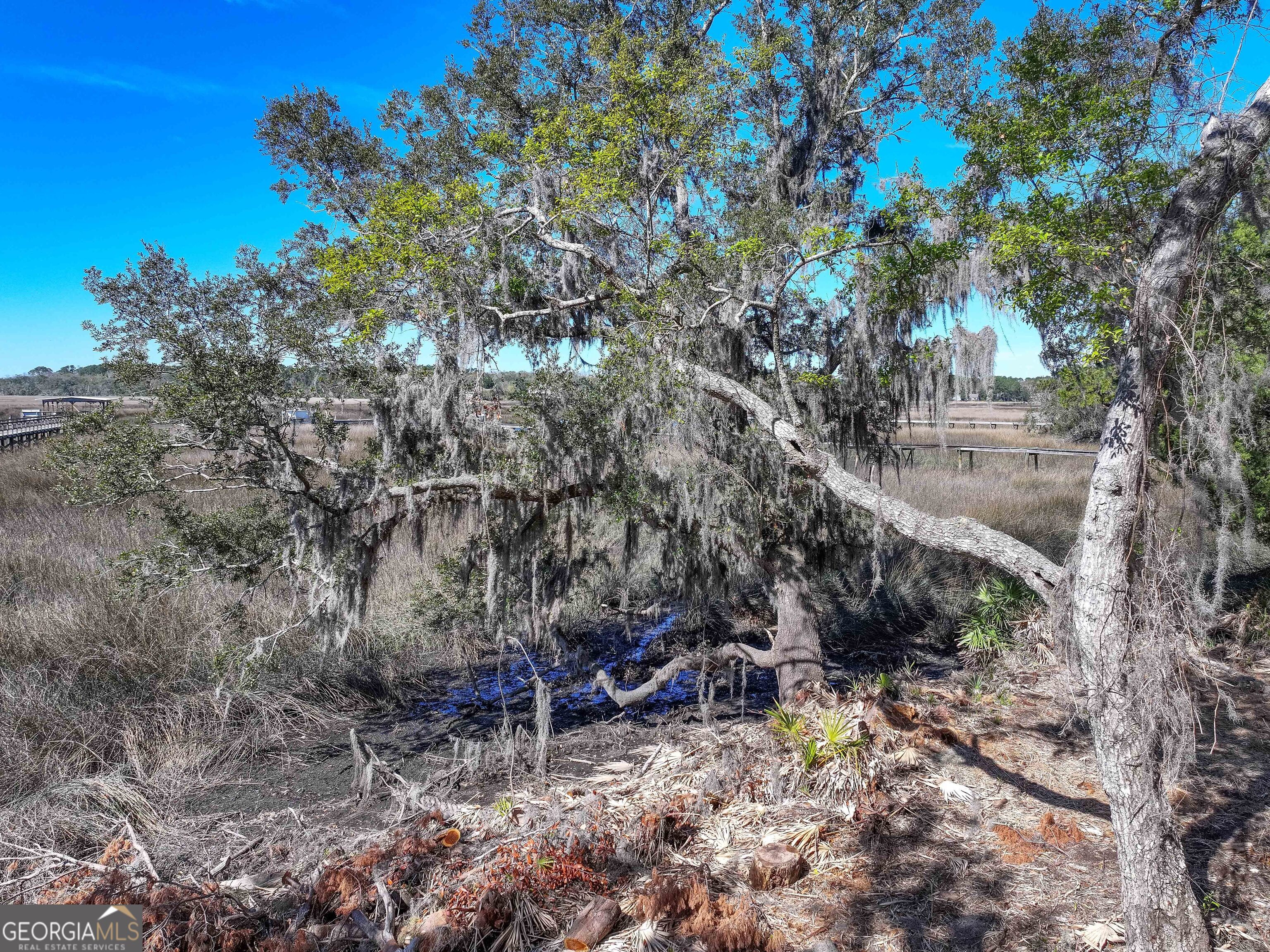 0 Riverview West Drive St. Marys GA 31558