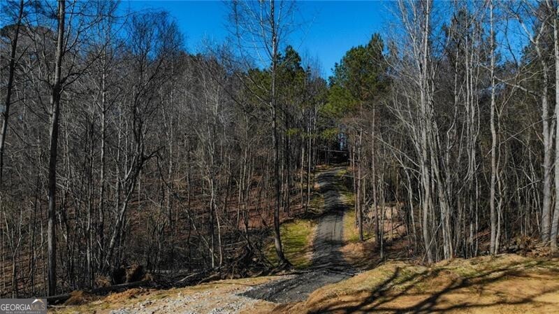 5.130 Acres On Orlando Path Dallas GA 30157