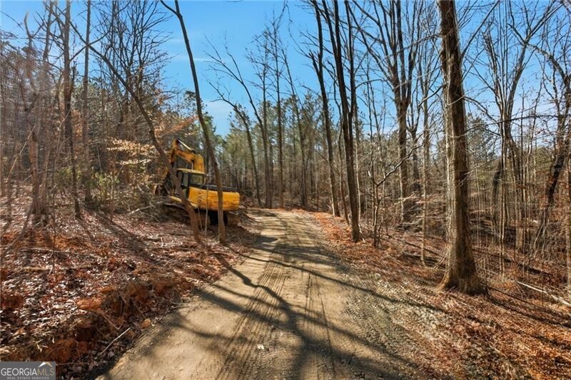 5.130 Acres On Orlando Path Dallas GA 30157