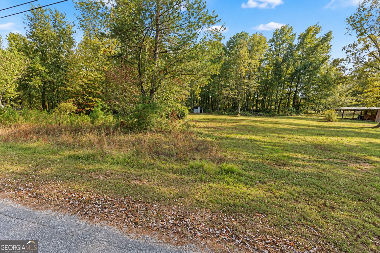 46 Acre Zerbee Lane Waynesboro GA 30830