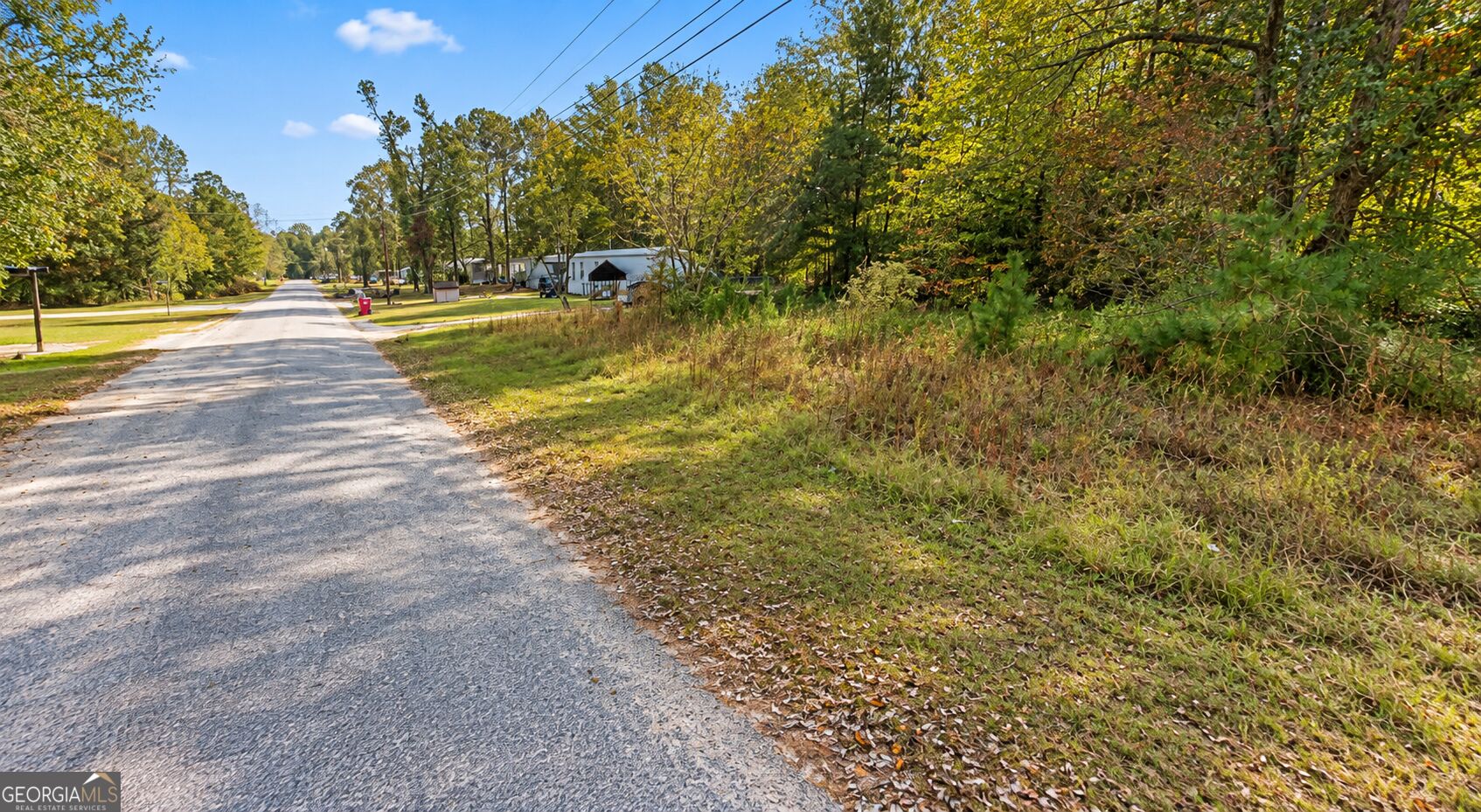 46 Acre Zerbee Lane Waynesboro GA 30830