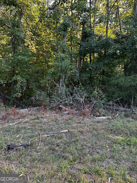 1103 W Adrian Circle SW Conyers GA 30094