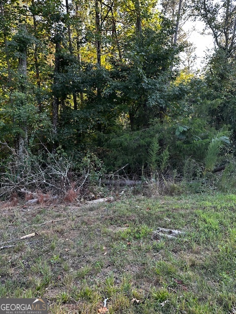 1103 W Adrian Circle SW Conyers GA 30094