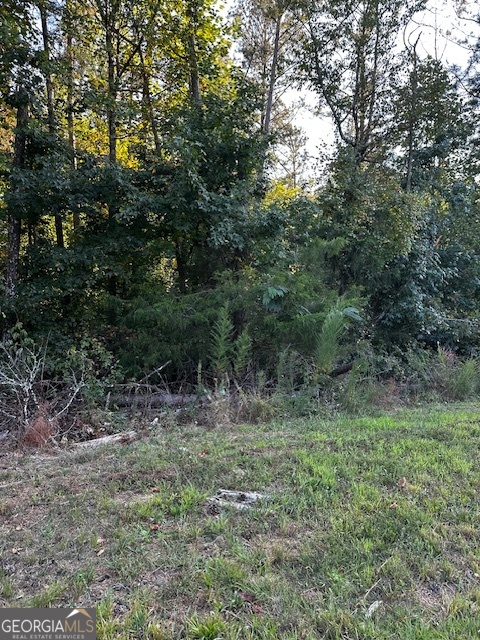 1103 W Adrian Circle SW Conyers GA 30094