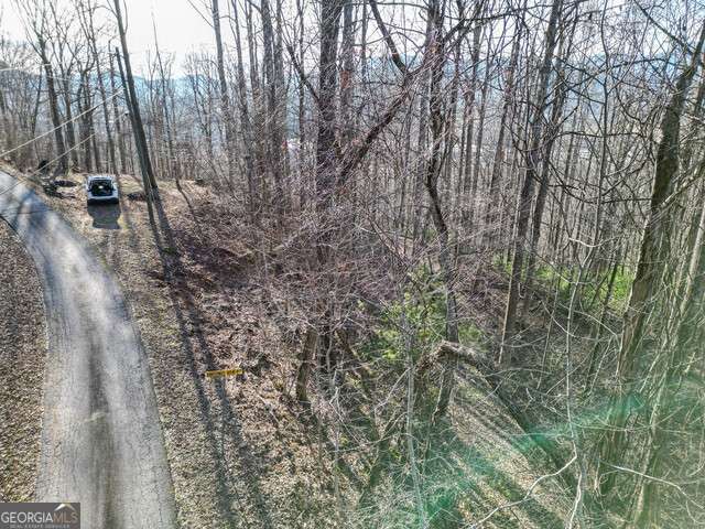 0 Chestnut Mountain Drive Rabun Gap GA 30568