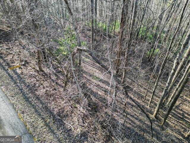 0 Chestnut Mountain Drive Rabun Gap GA 30568