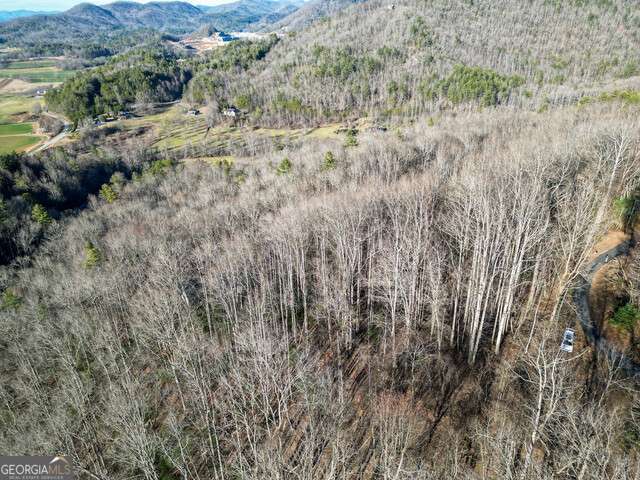 0 Chestnut Mountain Drive Rabun Gap GA 30568