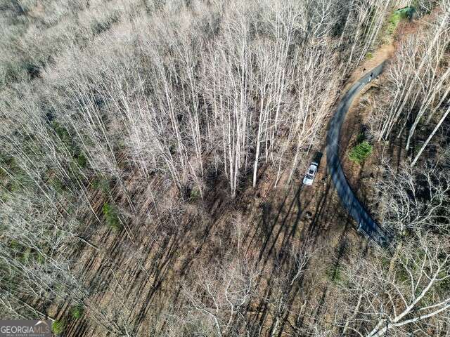 0 Chestnut Mountain Drive Rabun Gap GA 30568