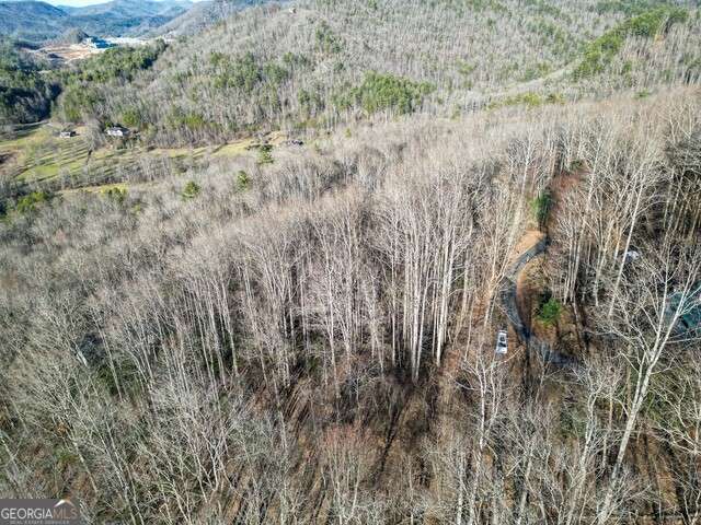0 Chestnut Mountain Drive Rabun Gap GA 30568