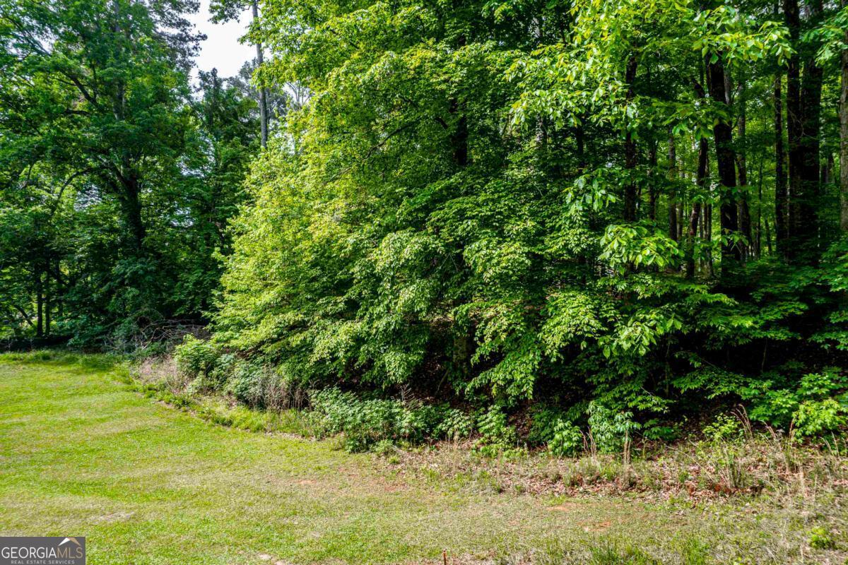 1010 Quaker Ridge Road Greensboro GA 30642