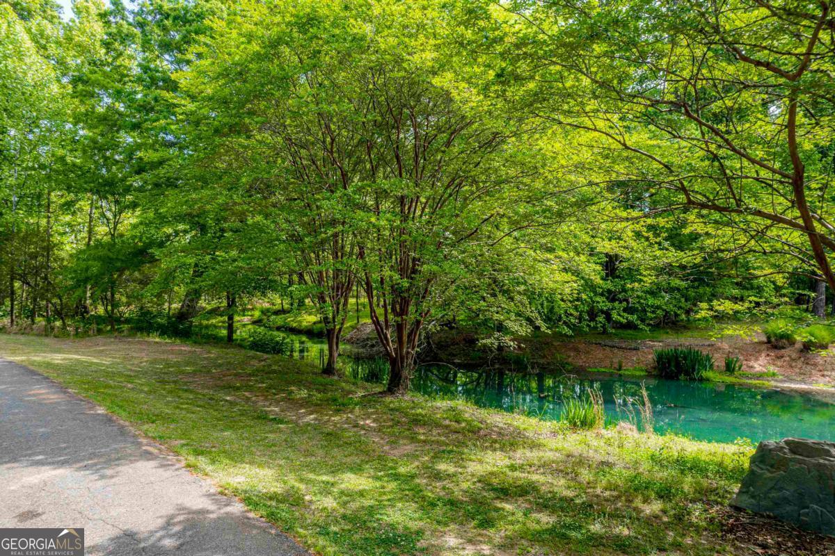1010 Quaker Ridge Road Greensboro GA 30642