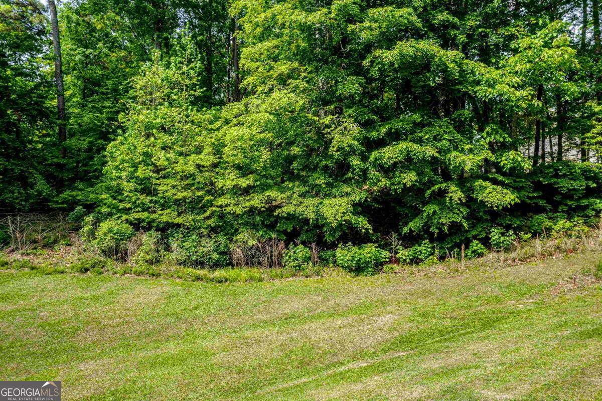 1010 Quaker Ridge Road Greensboro GA 30642