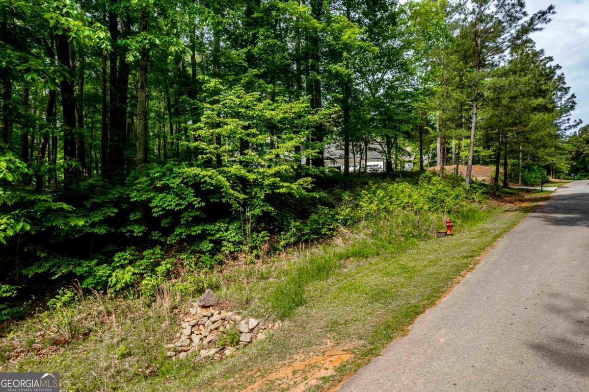 1010 Quaker Ridge Road Greensboro GA 30642