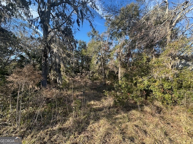 V/l 276 Harbour Island Circle Waverly GA 31565