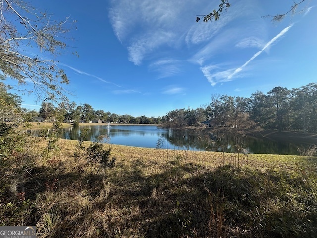 V/l 276 Harbour Island Circle Waverly GA 31565