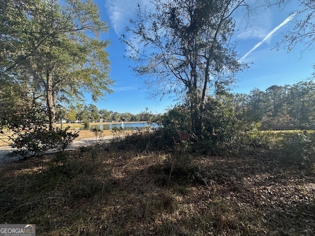 V/l 276 Harbour Island Circle Waverly GA 31565