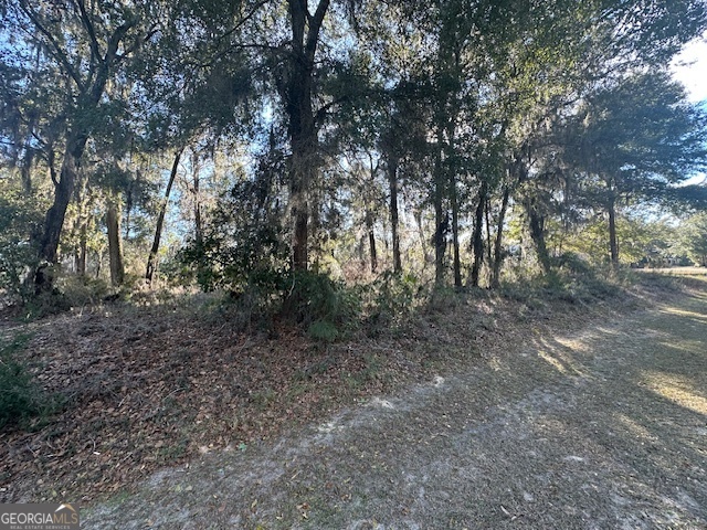 V/l 276 Harbour Island Circle Waverly GA 31565