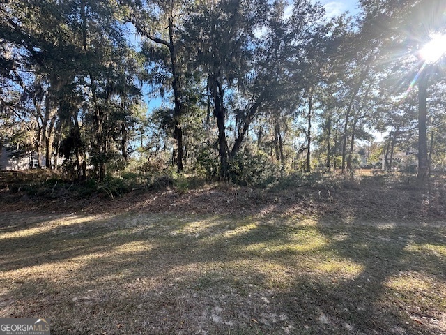 V/l 276 Harbour Island Circle Waverly GA 31565