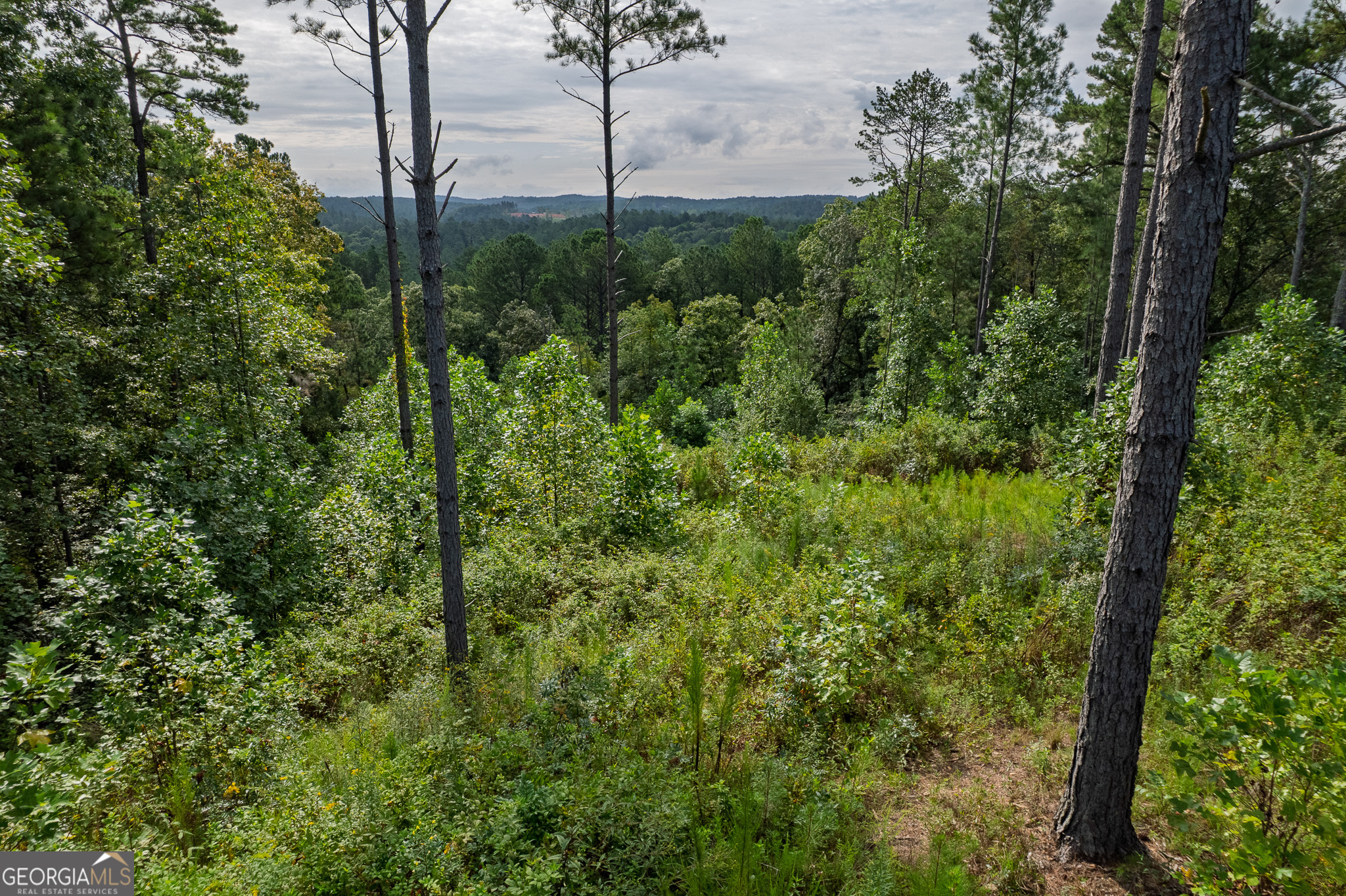 Lot 195 Blalock Mountain Road Talking Rock GA 30175