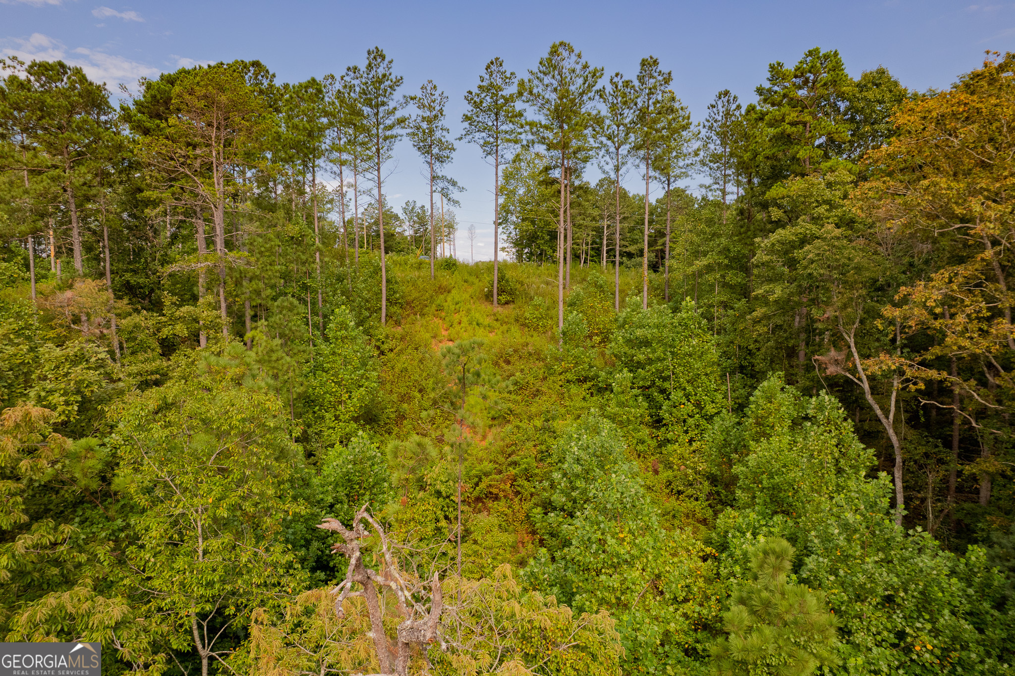 Lot 195 Blalock Mountain Road Talking Rock GA 30175