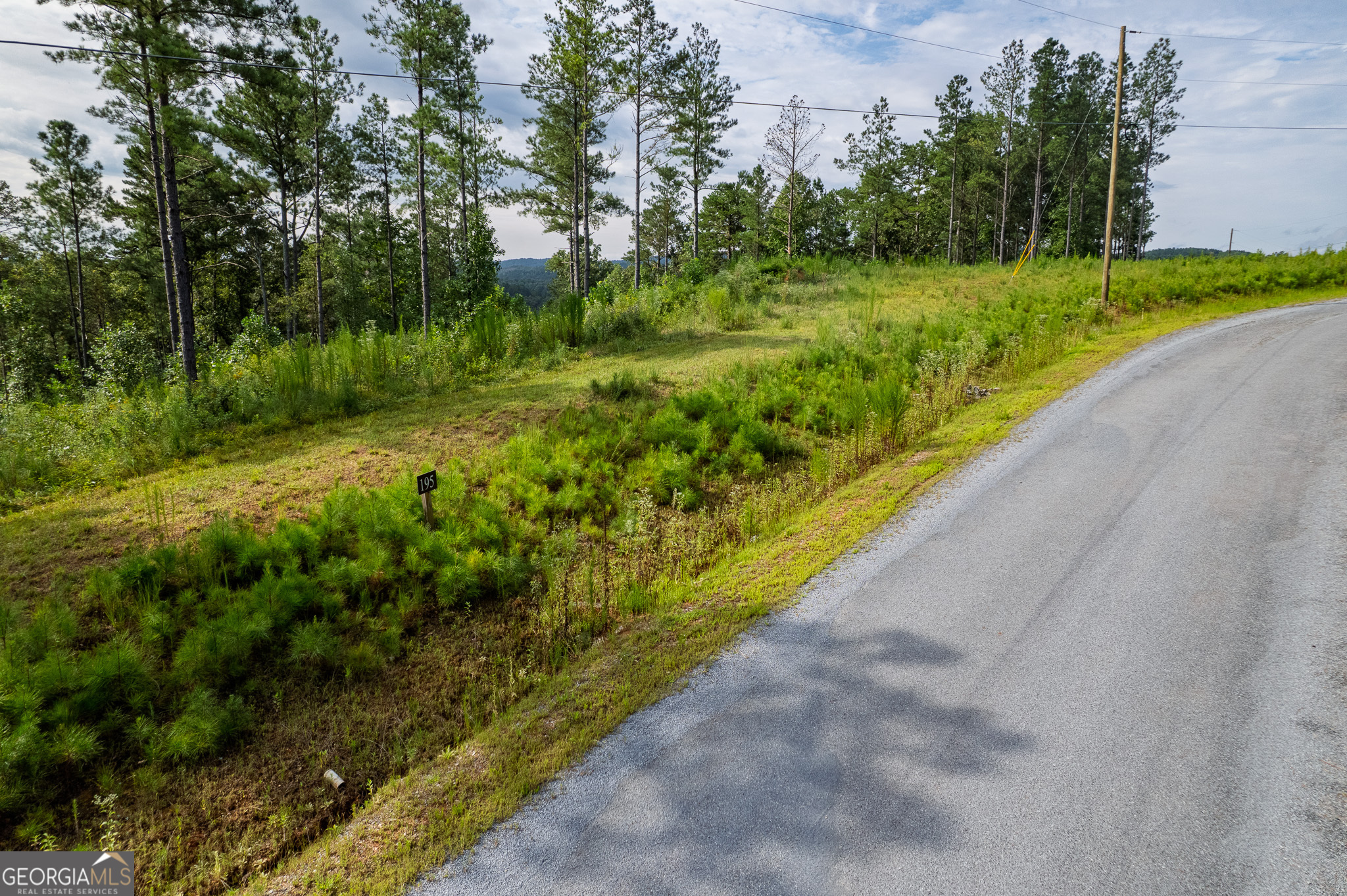 Lot 195 Blalock Mountain Road Talking Rock GA 30175
