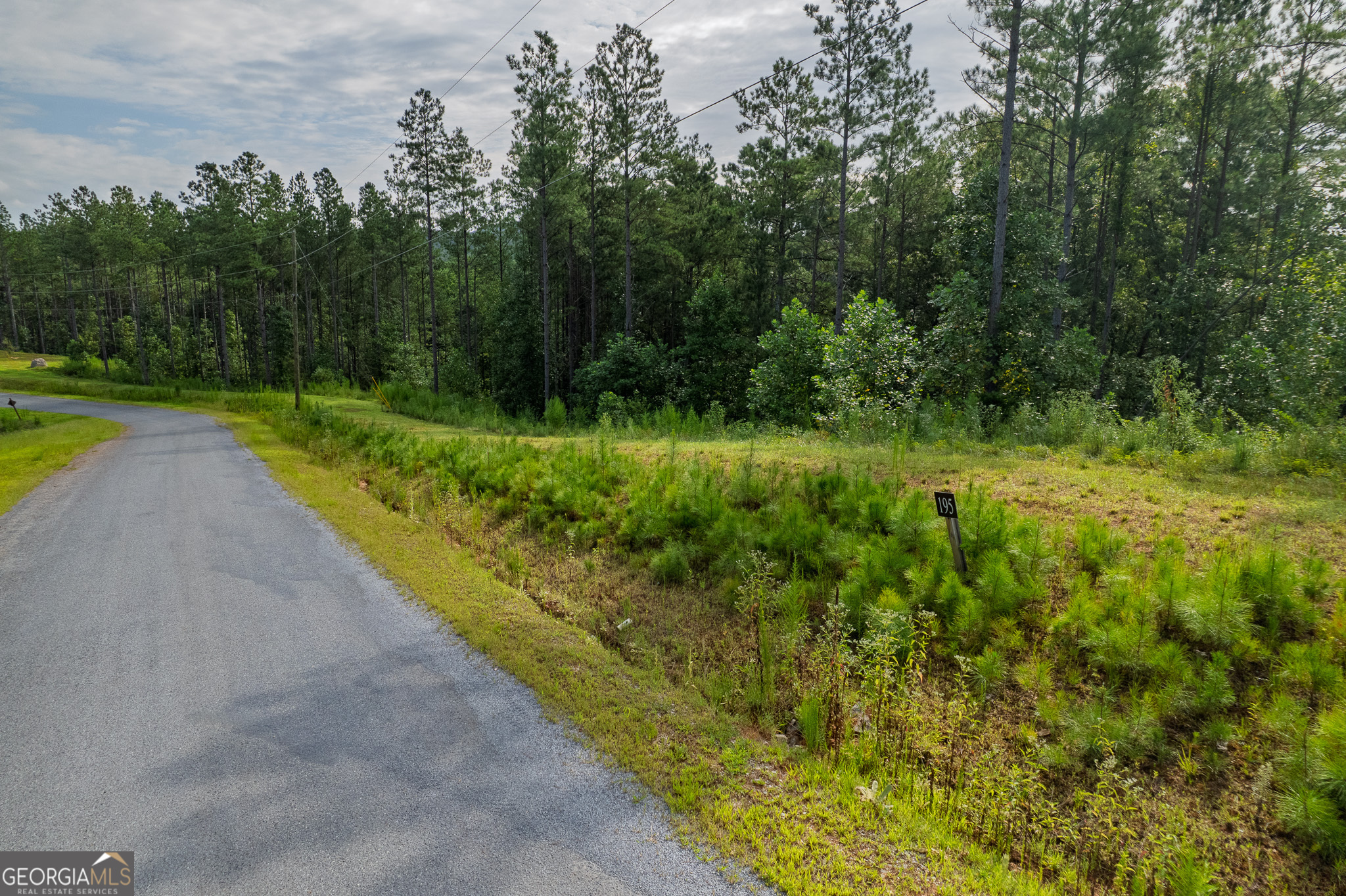Lot 195 Blalock Mountain Road Talking Rock GA 30175
